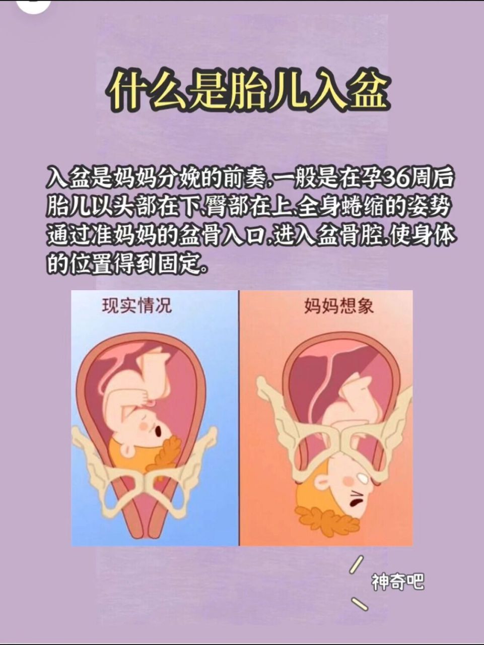 胎儿入盆后多久生产71入盆的6大信号73收藏  预产期倒计时的姐妹