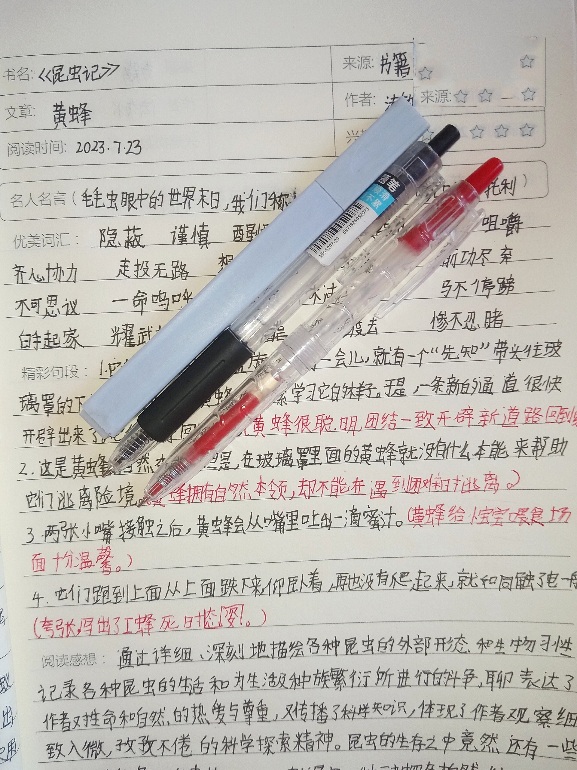 《昆虫记》读书笔记 黄蜂