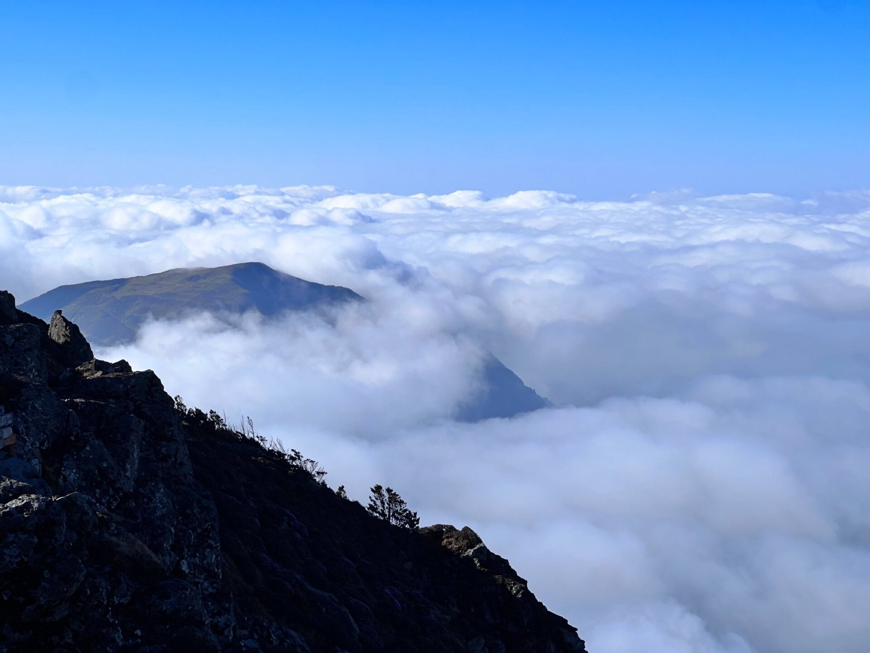 东川牯牛山云海 #昆明周边游