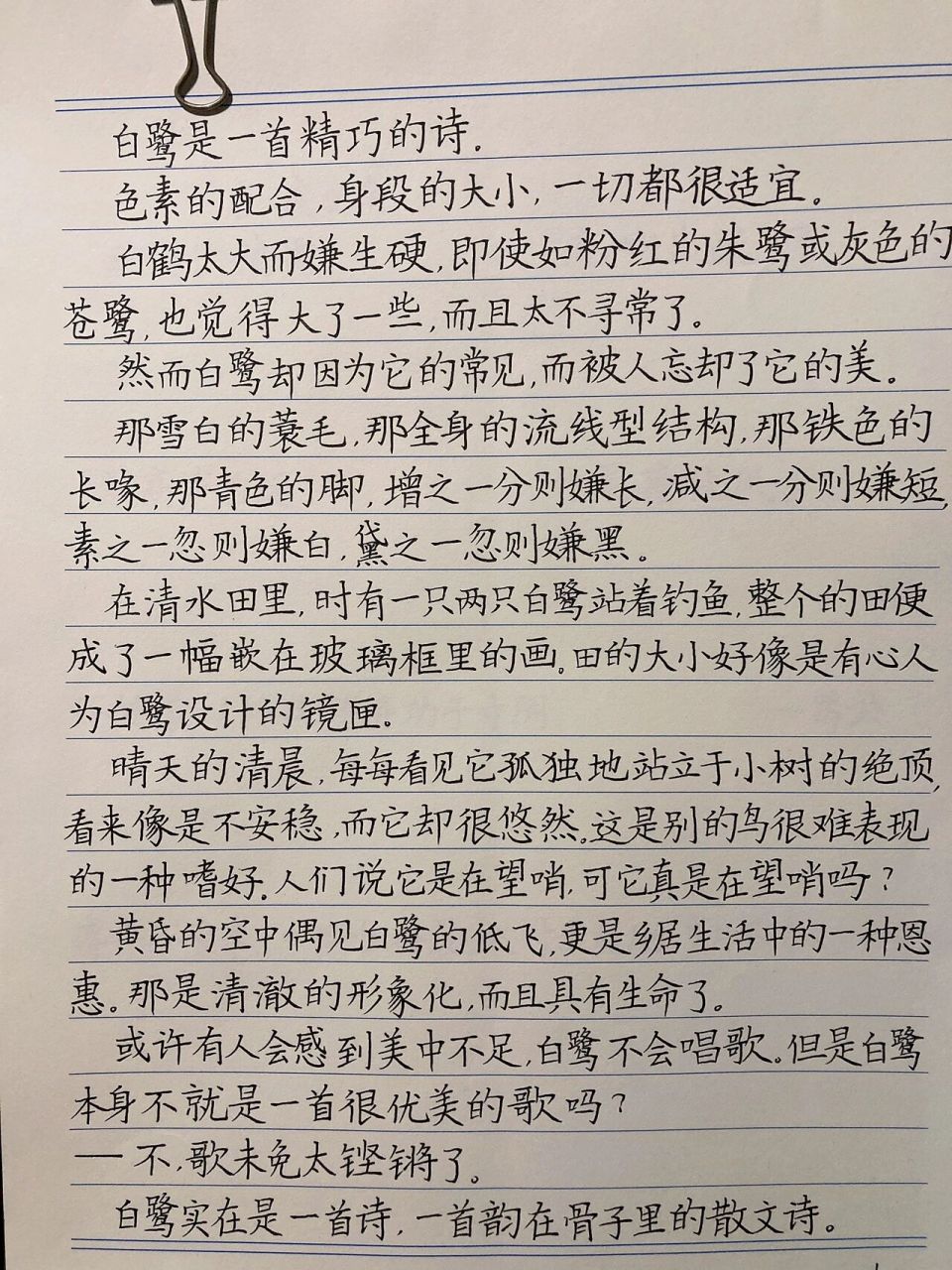 五下课文《白鹭》 五下课文《白鹭》
