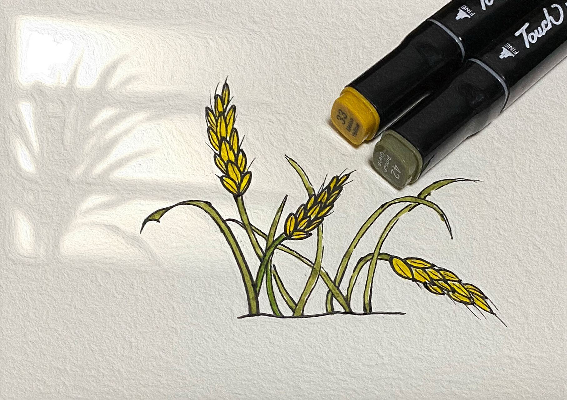 缅怀袁隆平爷爷  "禾下乘凉梦"让人为之动容 今日稻穗简笔画90 双星