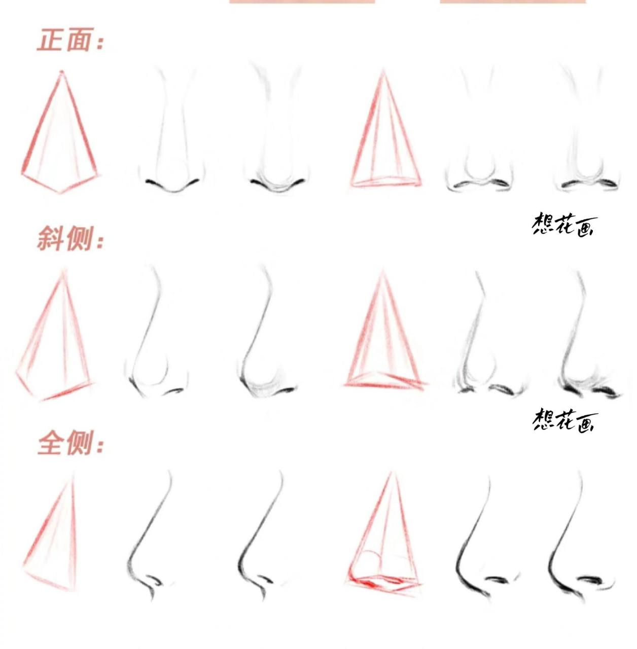 动漫人物鼻子正面画法图片