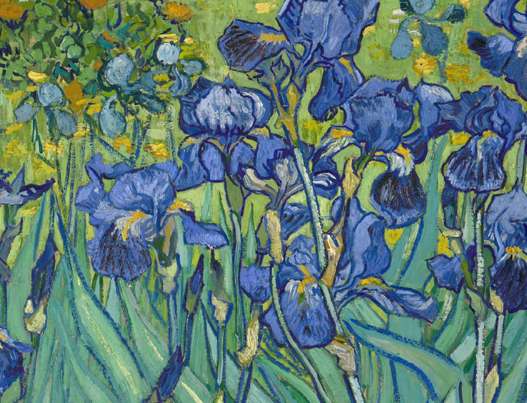 96世界名画欣赏|梵高 《鸢尾花