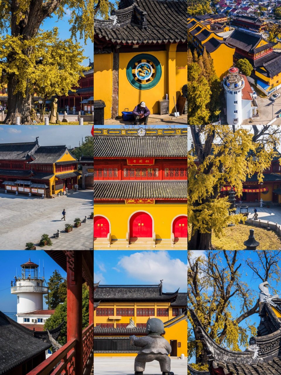 千年银杏百年庙——青浦报国寺  千年银杏百年庙——这里便是位于青浦