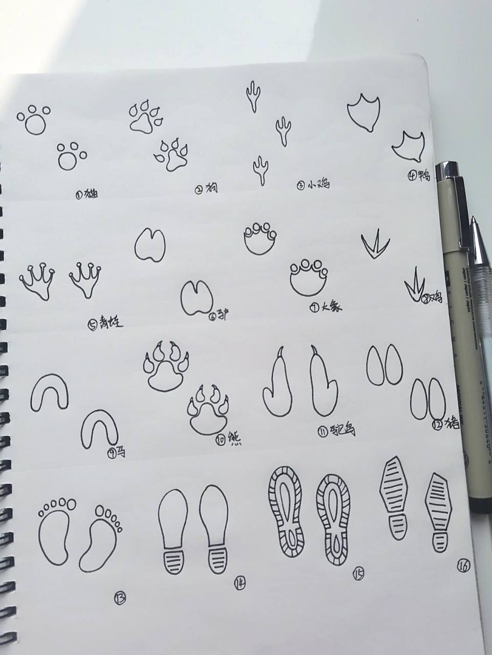 16种脚印简笔画画法-原创793 参考网络素材