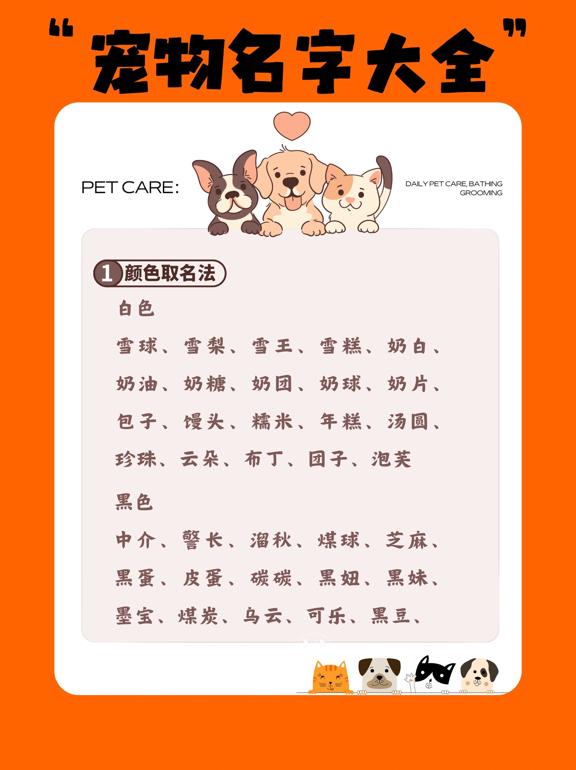 超火97宠物名字大全7575这样取好听又上头 颜色取名法 白色07