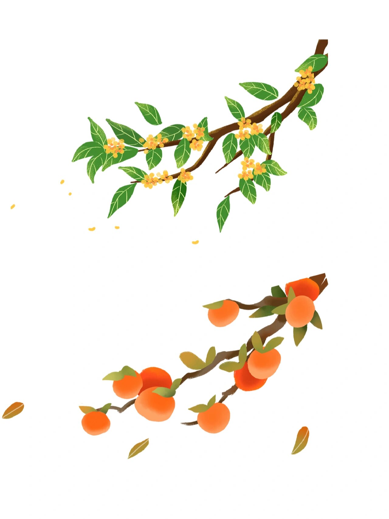 96免抠素材 | 卡通树枝元素