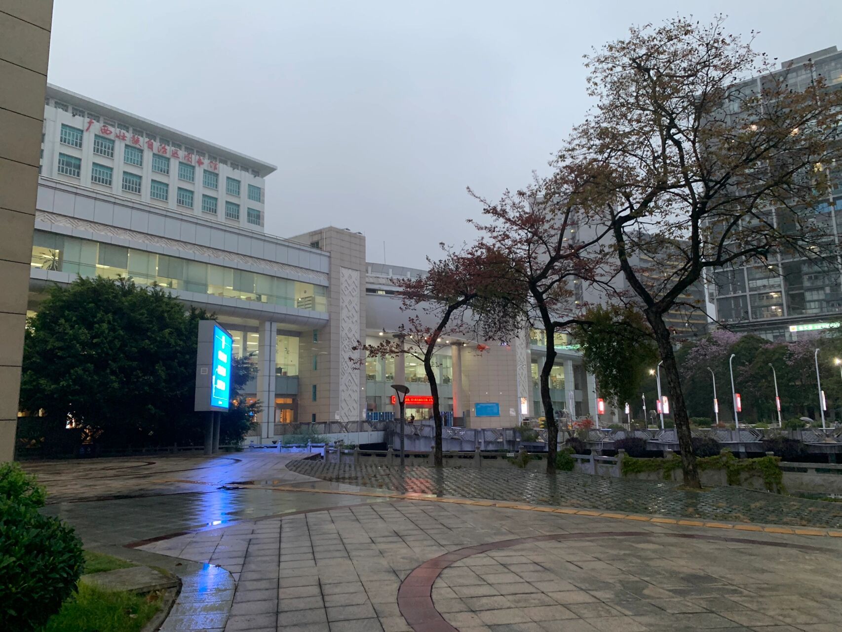 南宁市青秀区广西壮族自治区图书馆 地点:民族广场地铁口d出口往右
