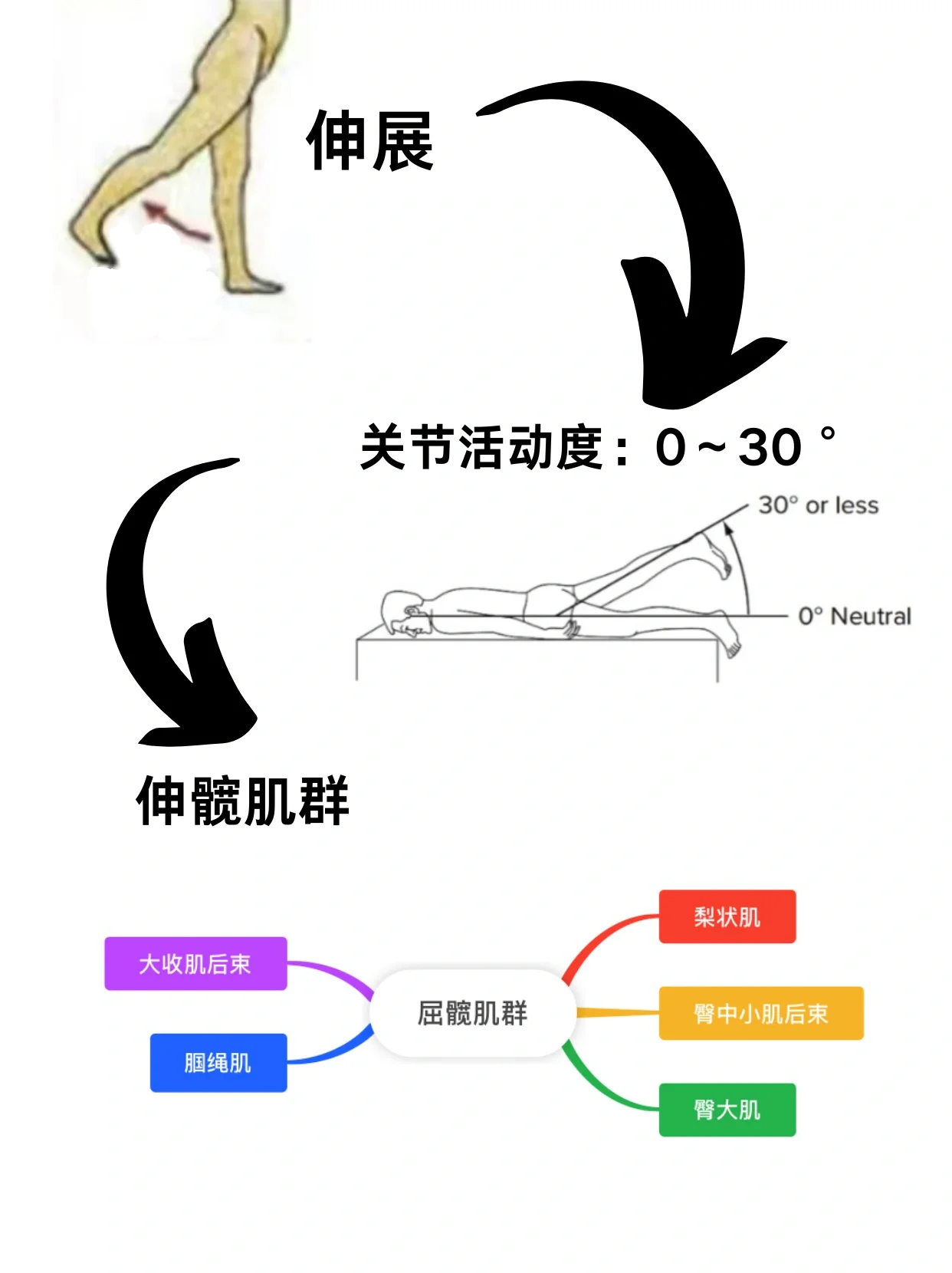 了解关节运动