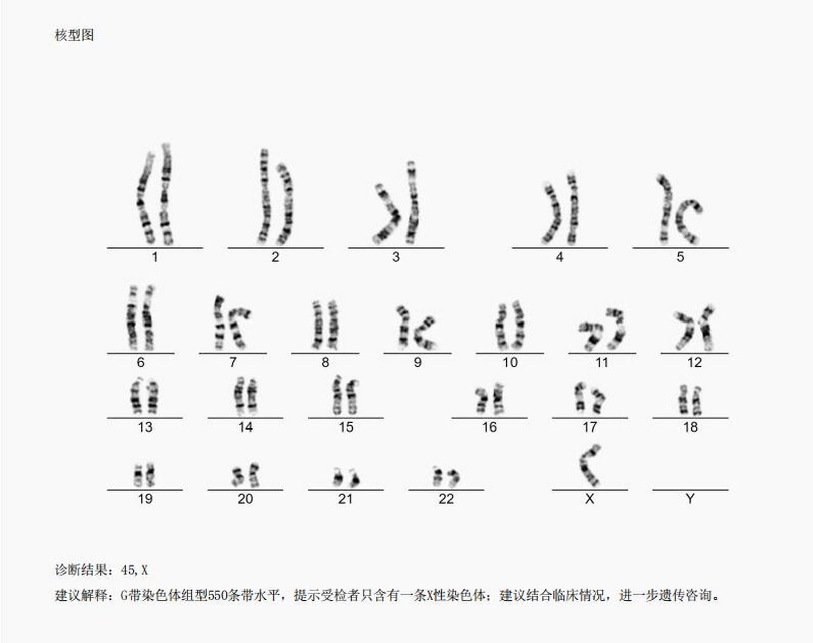 染色体成分图片