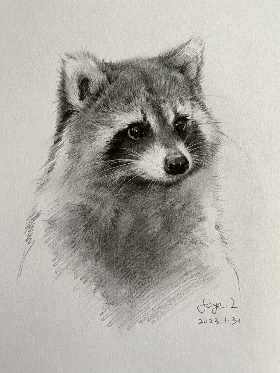 动物素描-浣熊 及一些作画步骤 工具:铅笔 压痕笔 素描纸16k