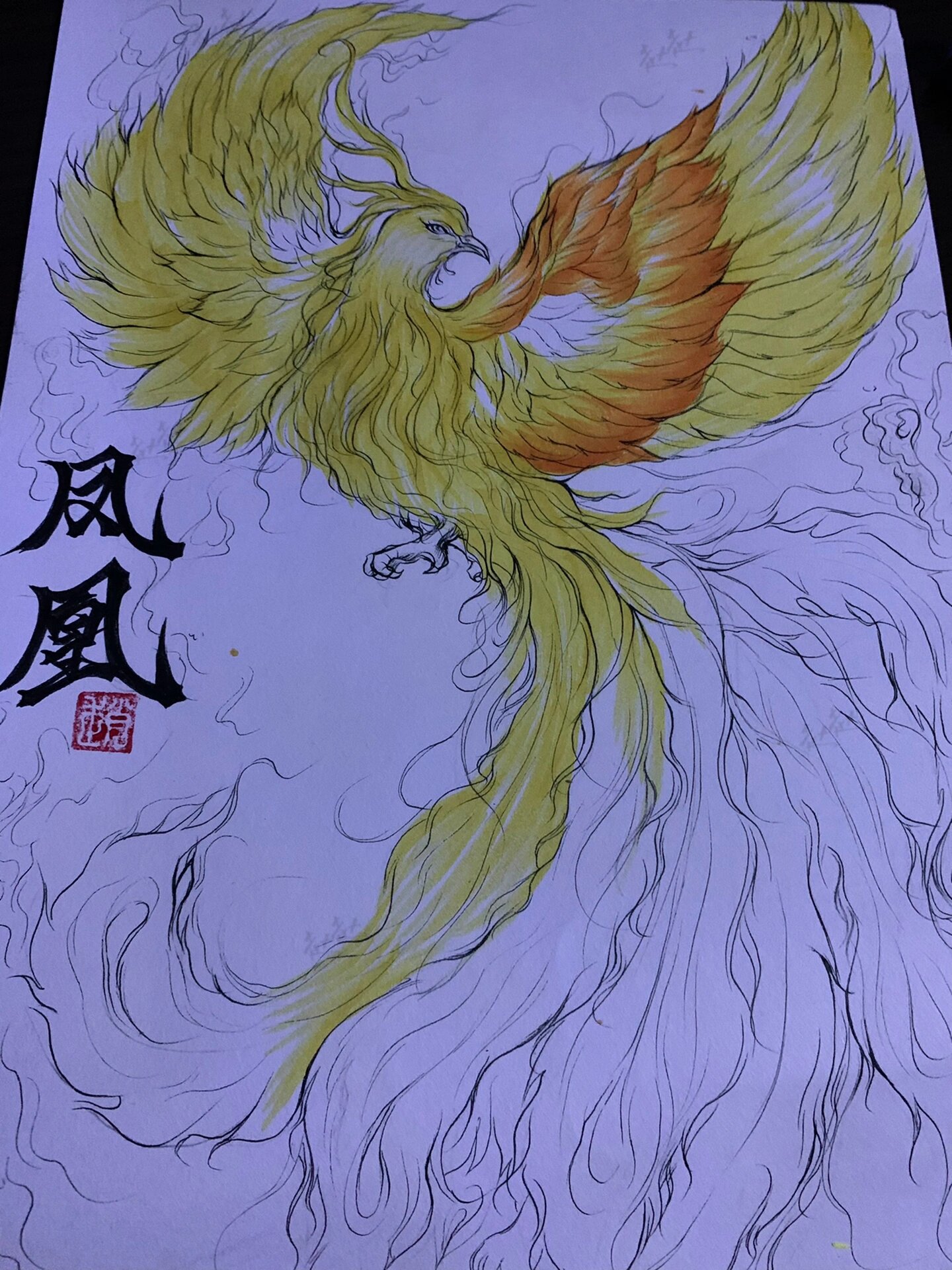 山海经手绘 凤凰涂色篇