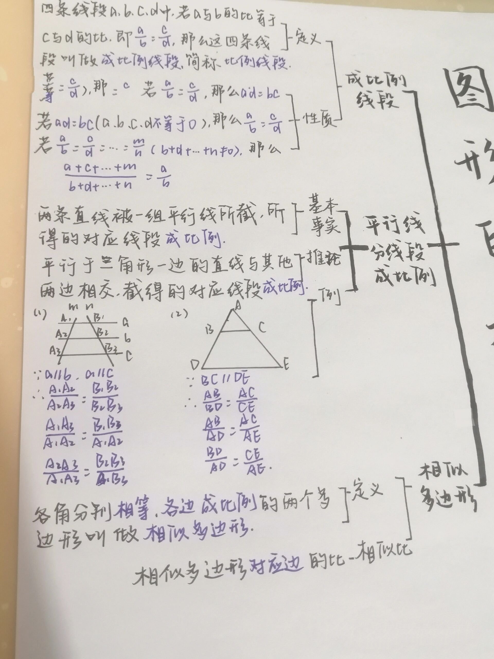 九上数学第四章北师大版思维导图