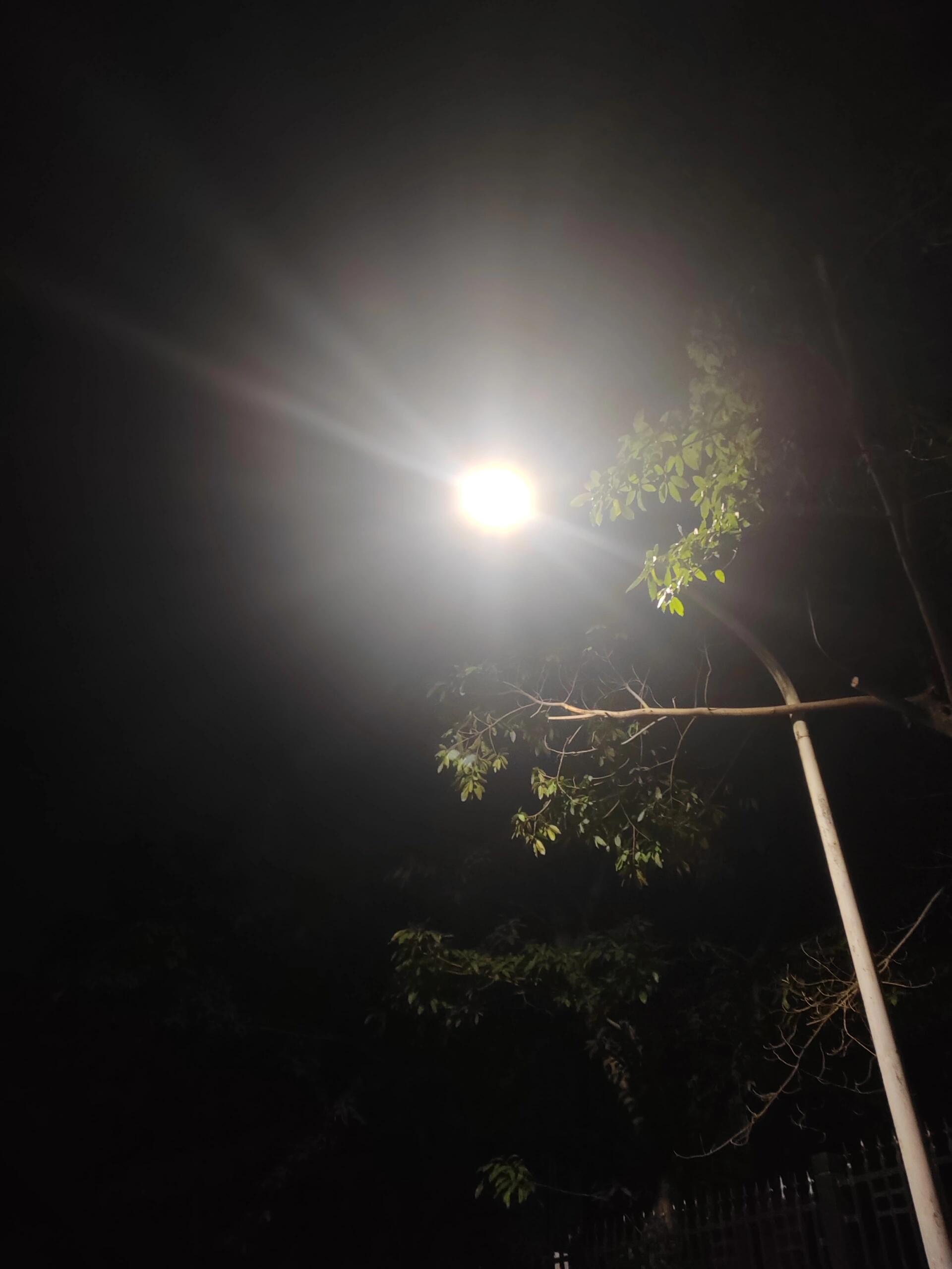 看路灯光像个大呲花是不是散光 我是不是散光啊 今天突然发现路灯有几