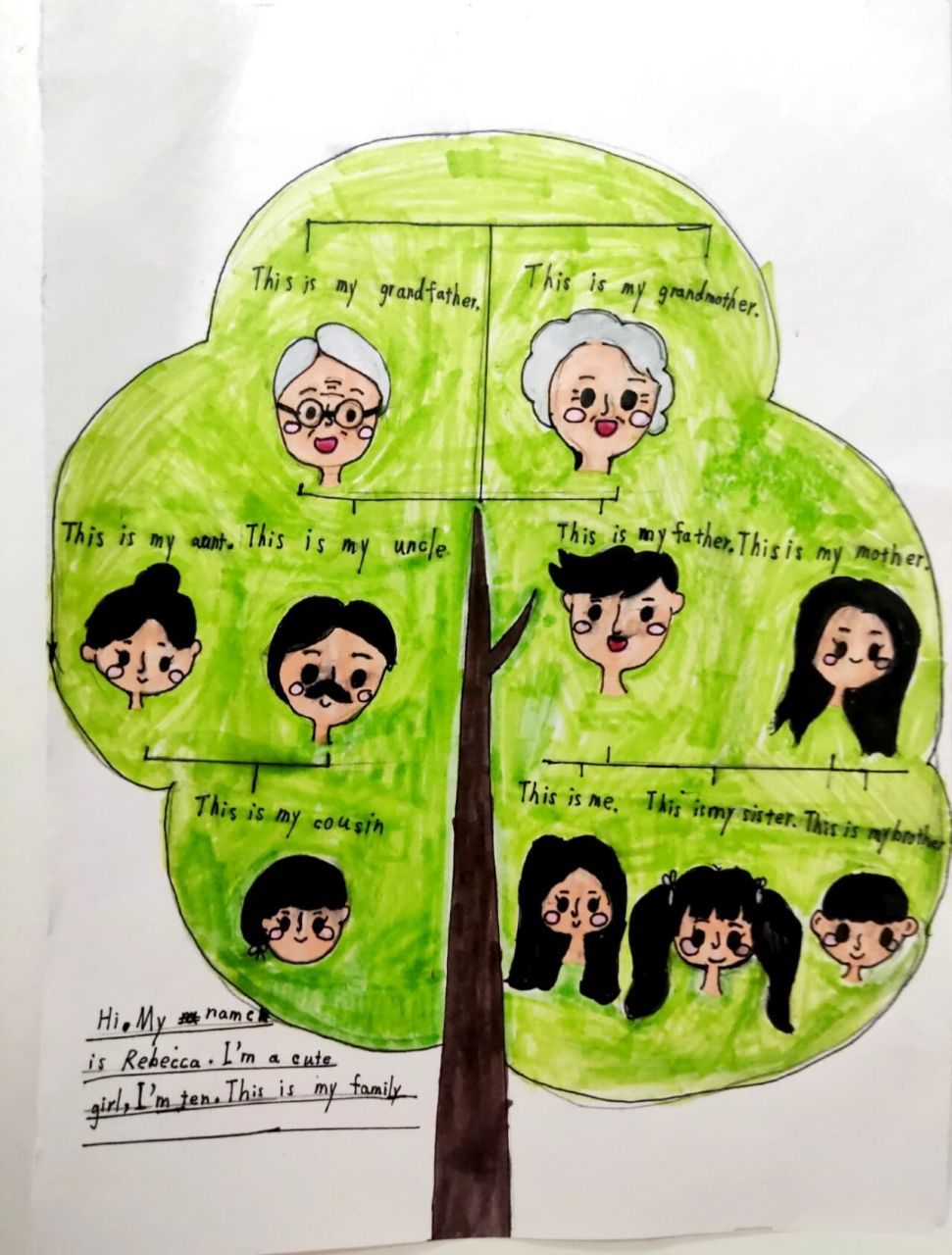英文家庭树状图怎么画图片