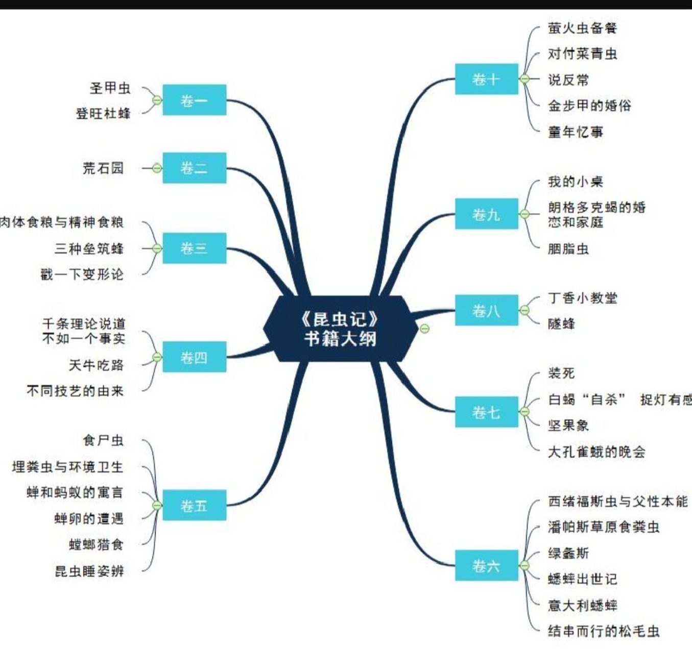 圣甲虫思维导图图片