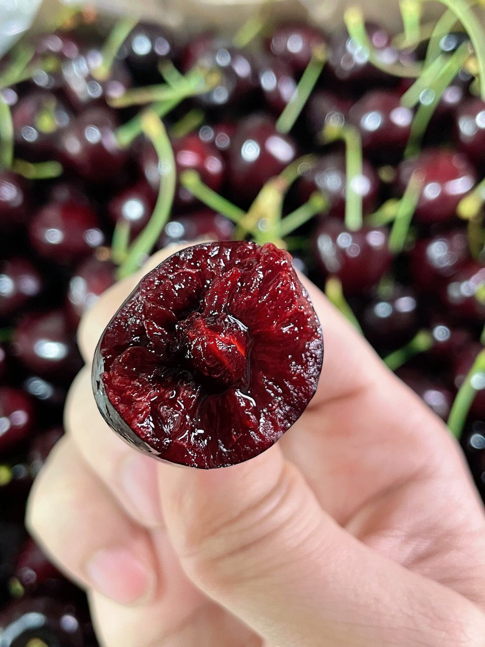 909090智利空运车厘子——大长腿科迪亚(kordia)惊鸿归来!