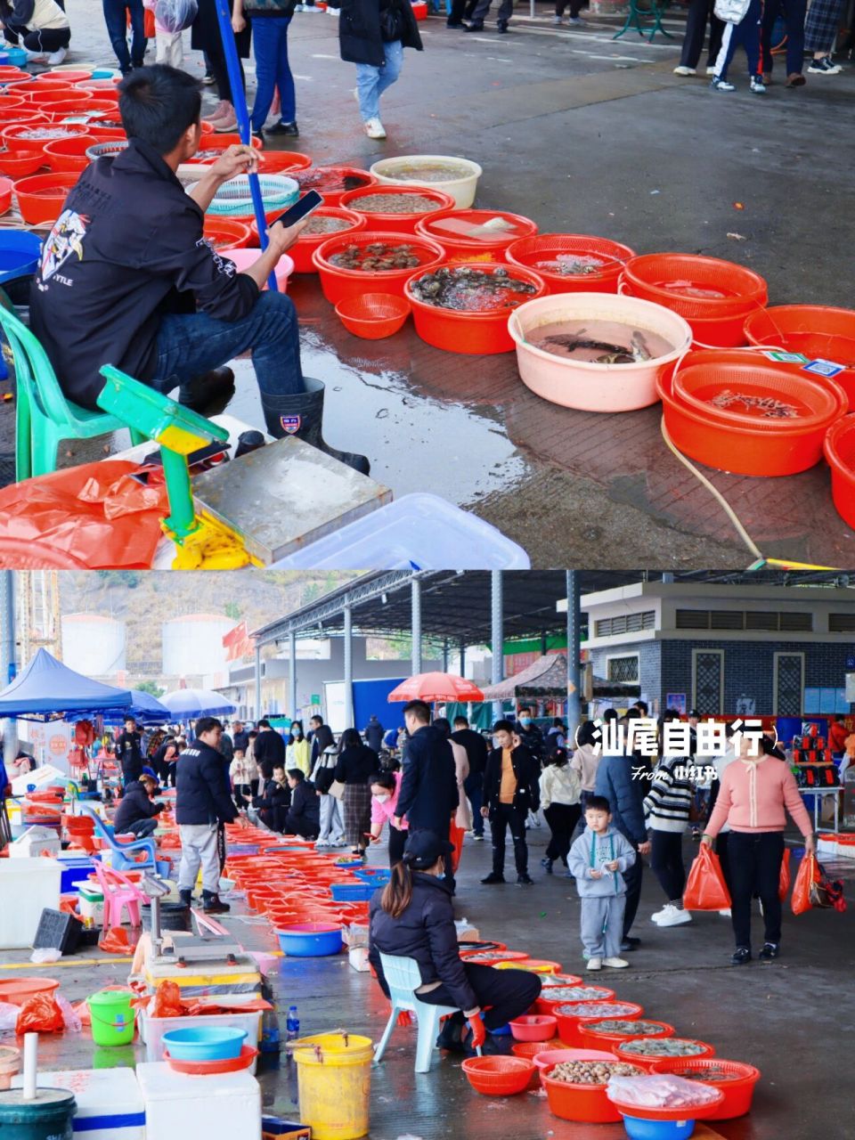 汕尾马宫码头海鲜市场图片