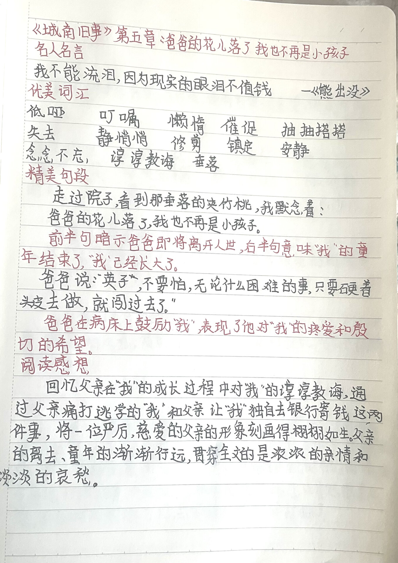 第五章《爸爸的花儿落了 我也不再是小孩子 城南旧事第五章