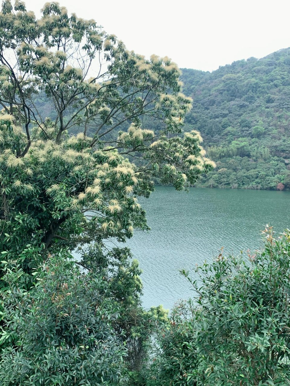 广州水声水库徒步环线开啦98近地铁风景超美  亲水临山绿植茂密,有