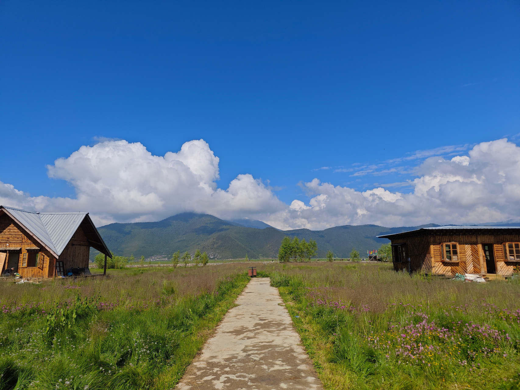 香格里拉纳帕海依拉草原风光摄影,拍得很随意,凑合看吧,一会儿重点看