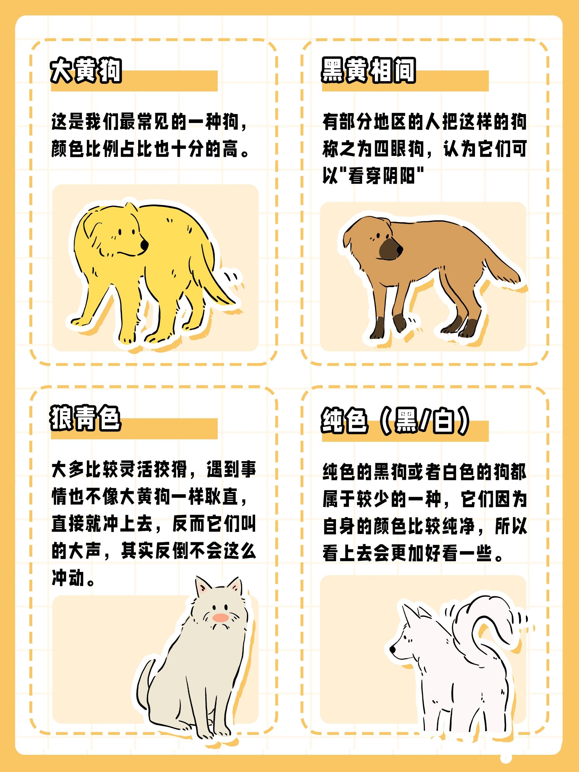 中华田园犬有多少花色?