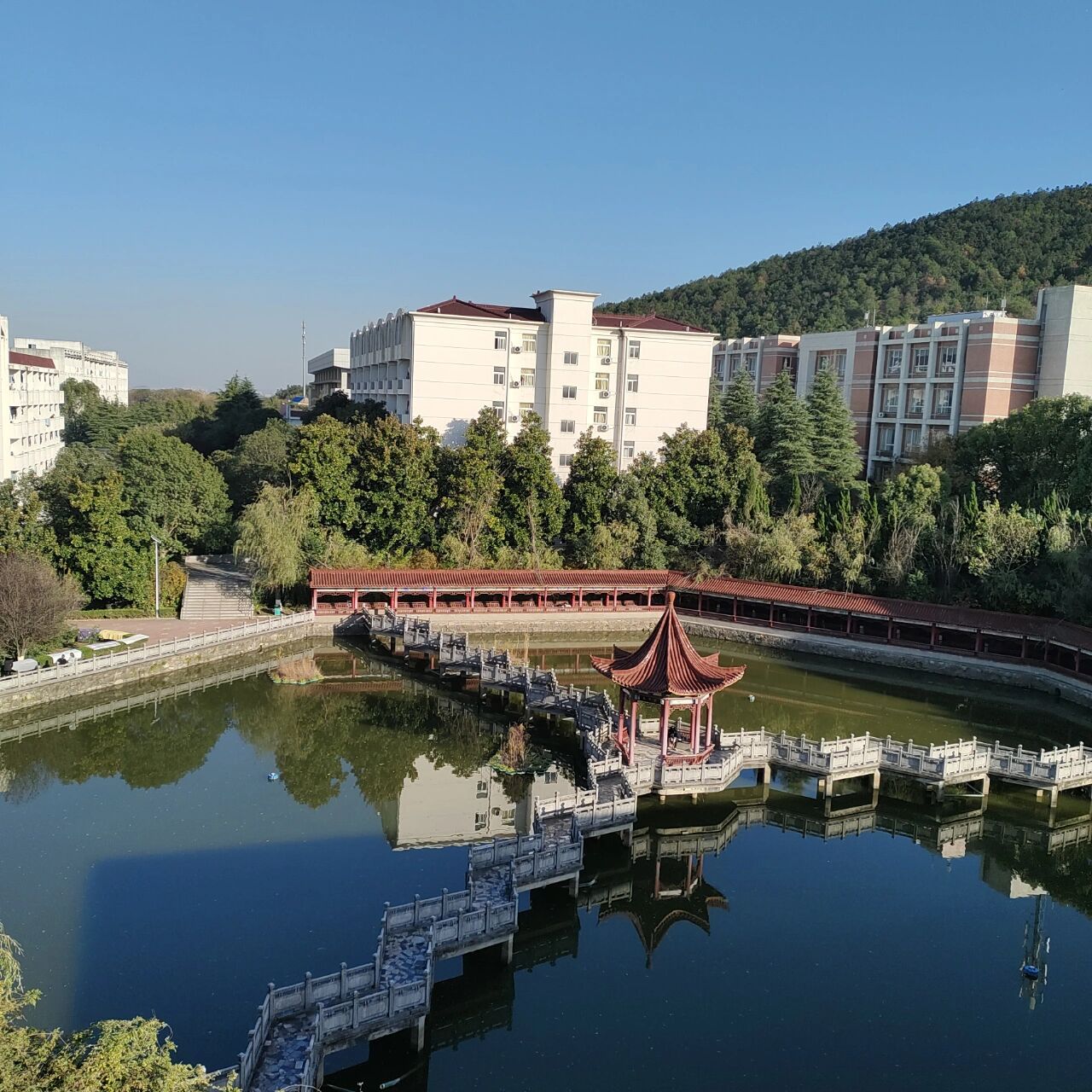 金肯职业技术学院 金肯学院是一个校园环境非常好的学校,有很多种类的