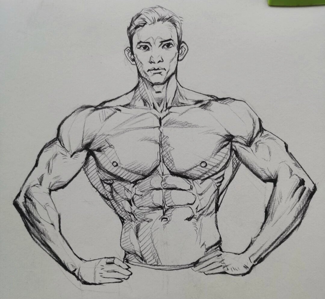 分享一波速写肌肉