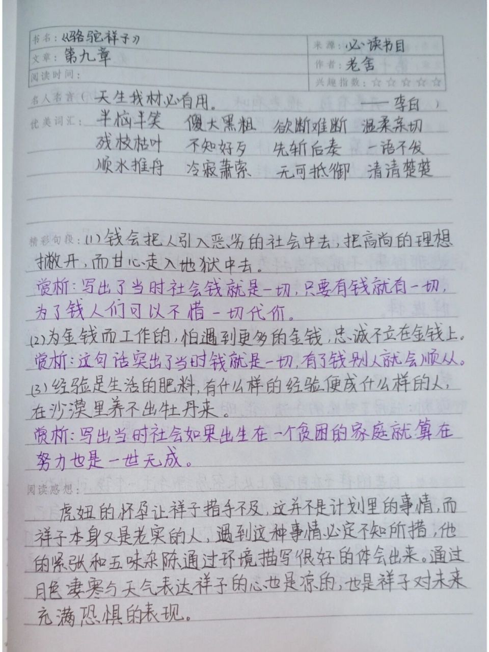 《骆驼祥子》读书笔记 ----第九章