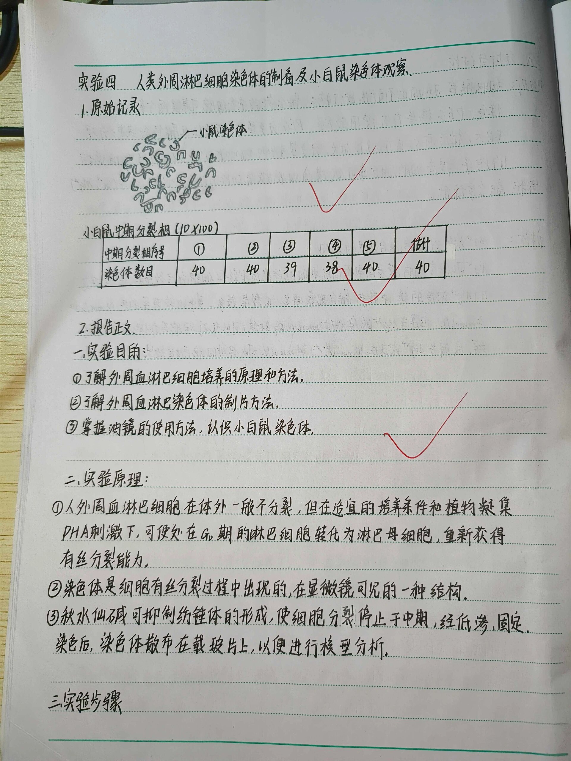 细胞生物实验报告