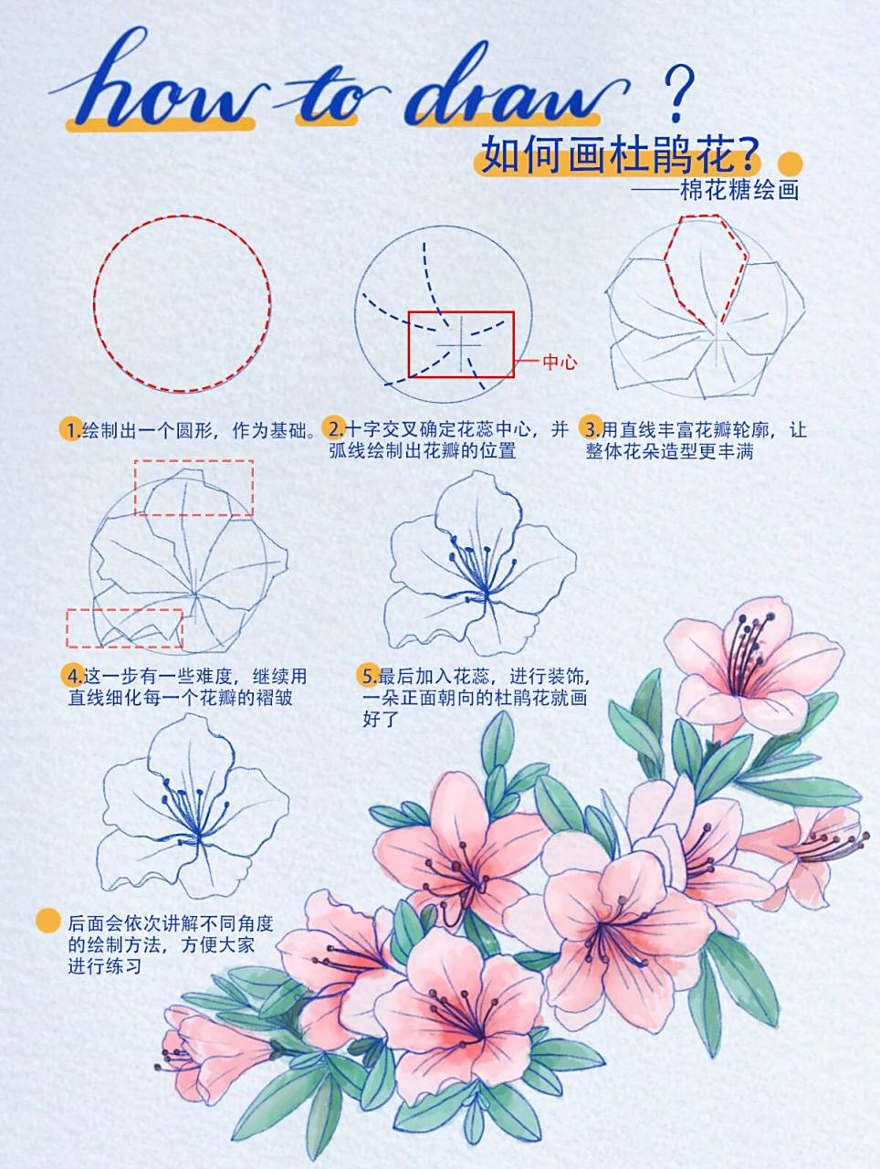 96如何画杜鹃花|绘画如此简单|线描速写教程 99how to draw?