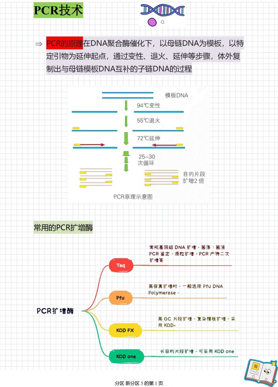 pcr扩增四次图示过程图片