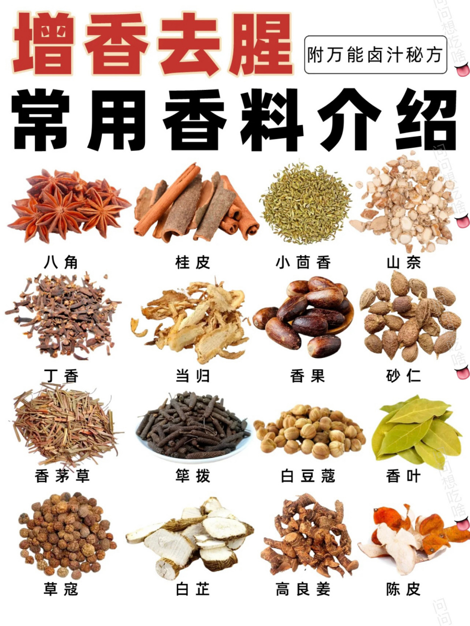 增香去腥常用香料种类78附过年万能卤汁秘方!
