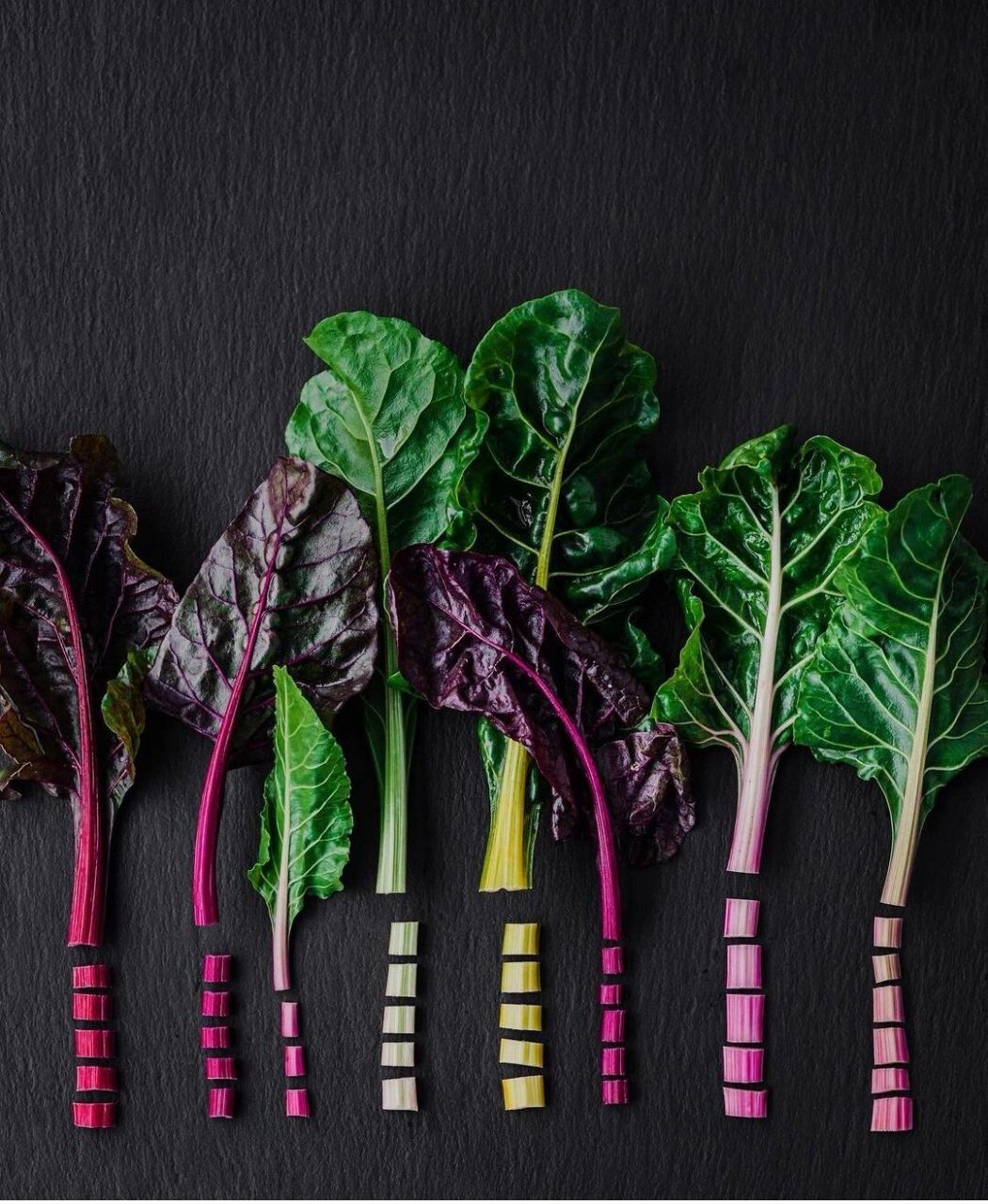 瑞士甜菜的种植方法=彩虹牛皮菜/菠菜甜菜 瑞士甜菜的英文是swiss