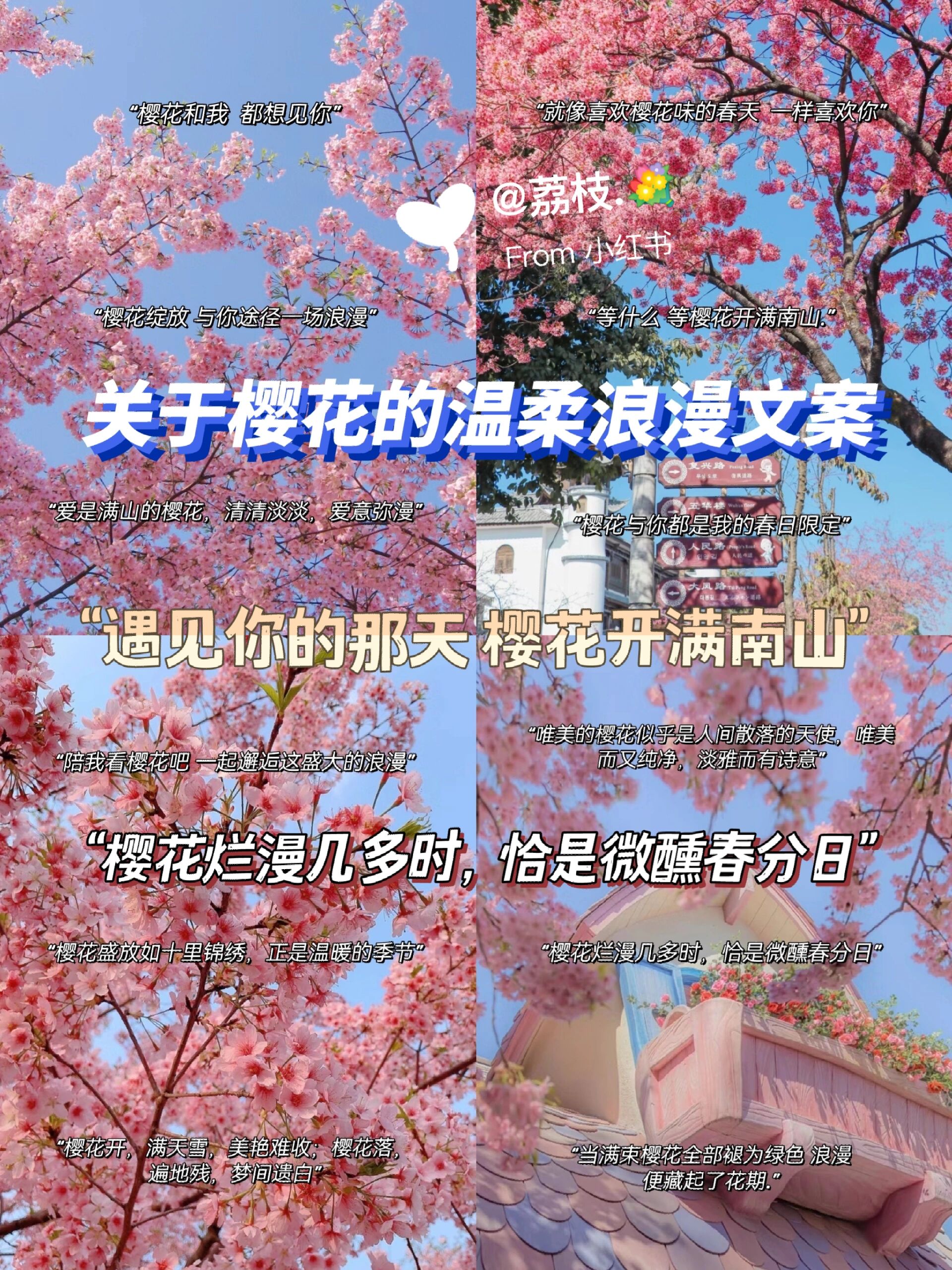 樱花唯美文案图片