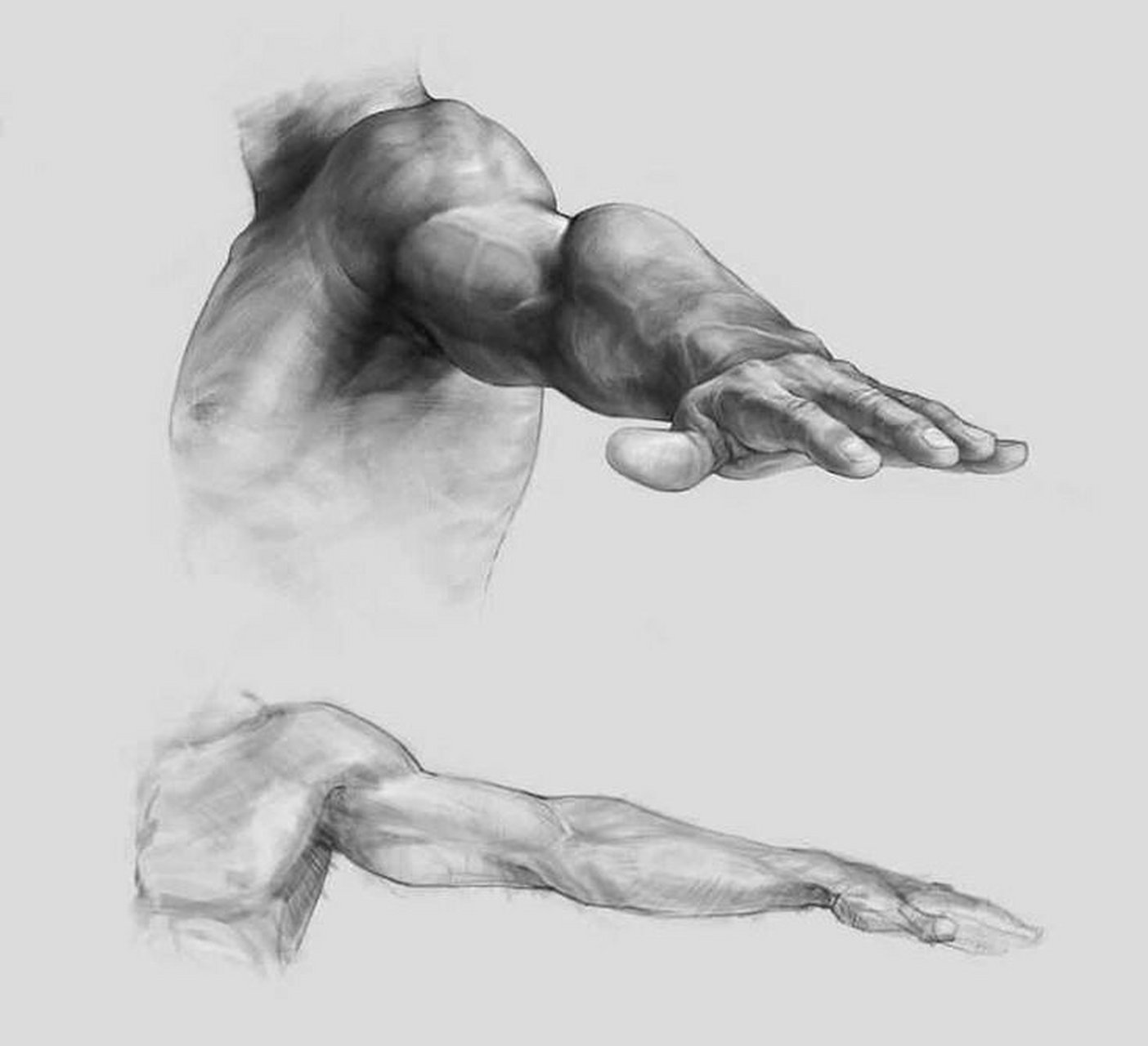 素描人体结构画法