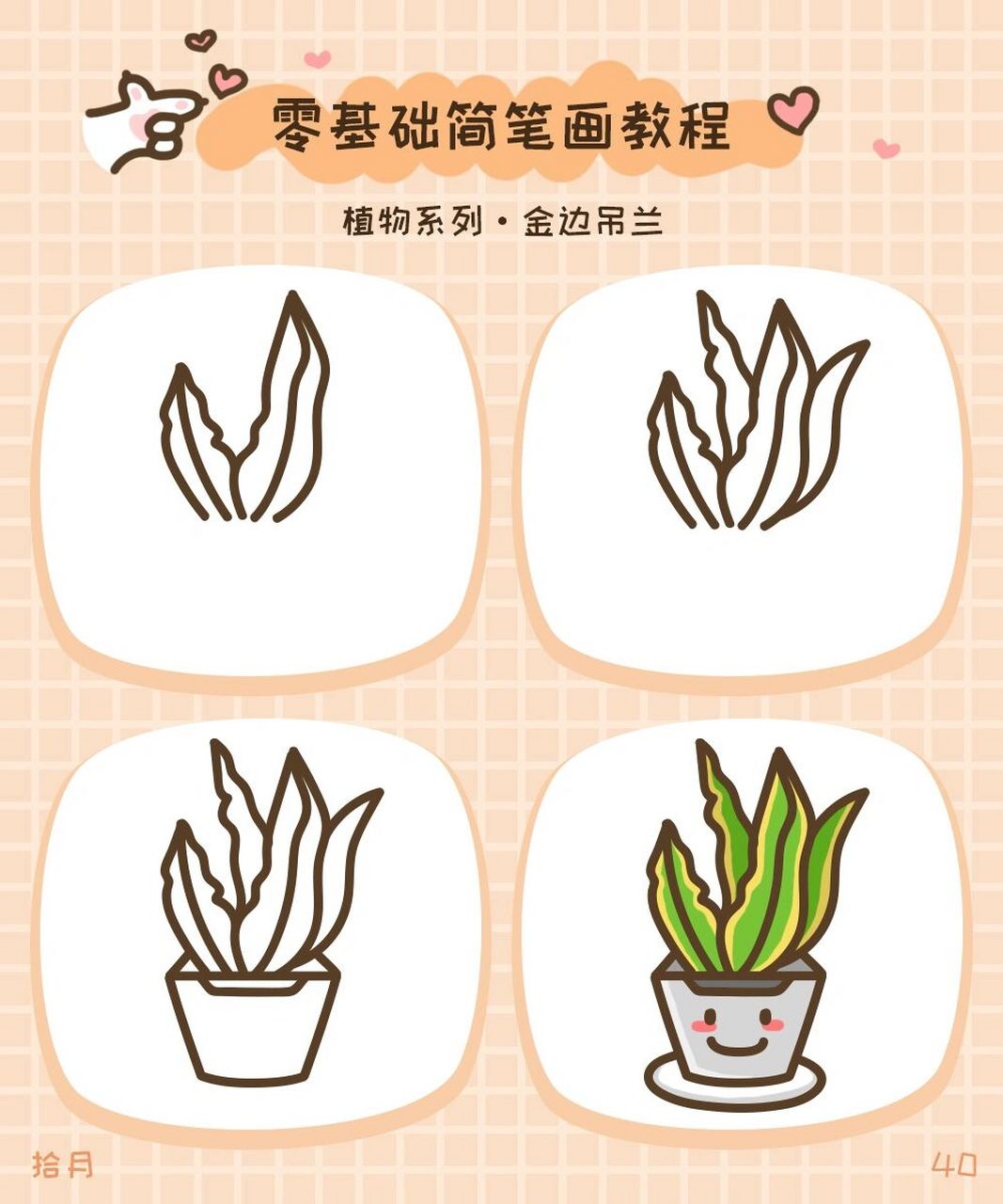 简笔画教程·植物系列·金边吊兰 金边吊兰叶片呈宽线形,嫩绿色,着生