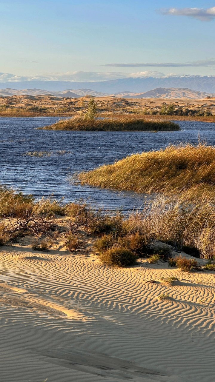 阿勒泰99不能错过的自然美景7215 再见,温暖又美丽的萨尔布拉克