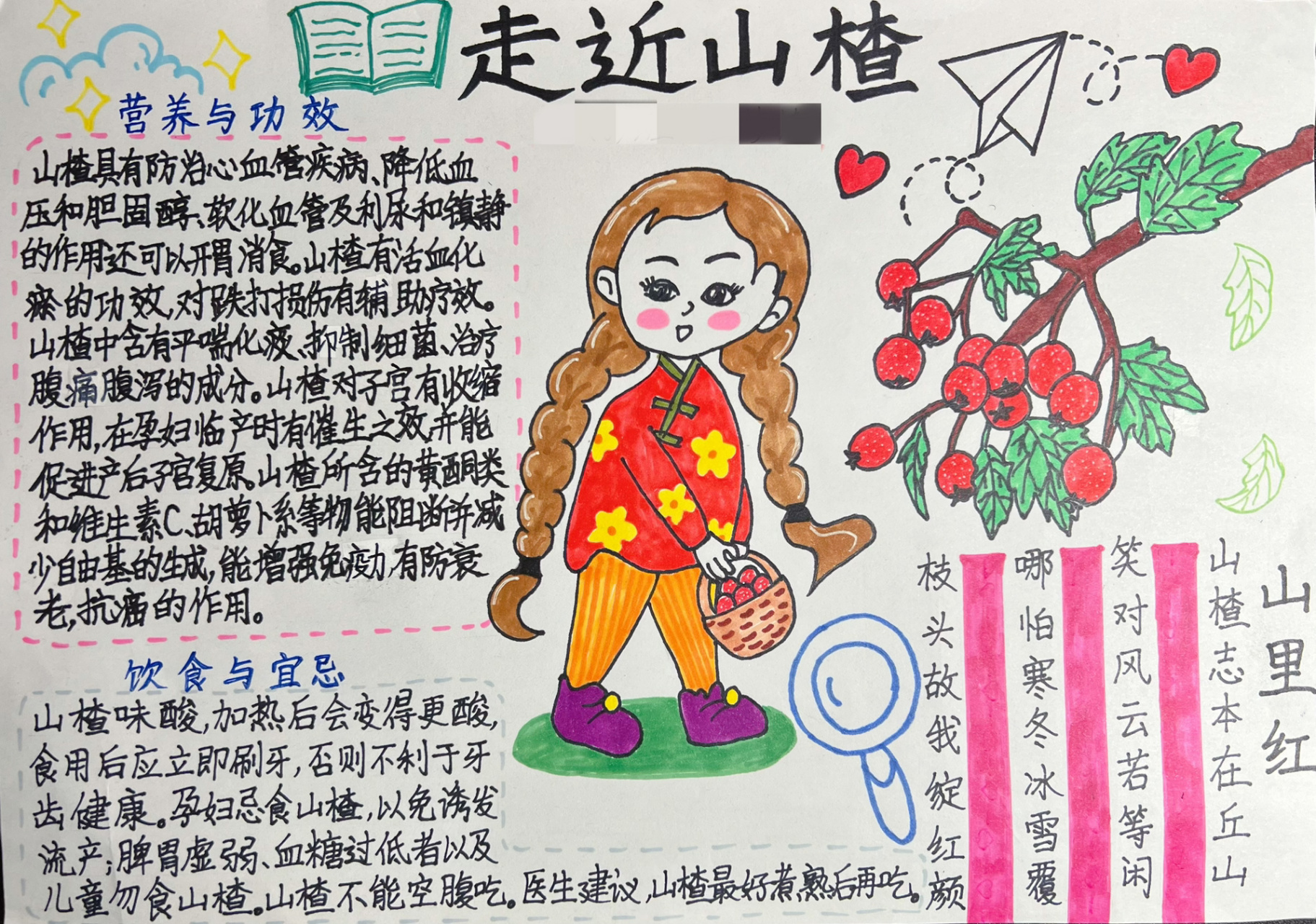 上周末的特色作业7915关于山楂的资料卡,手抄报,还第一次自制了冰