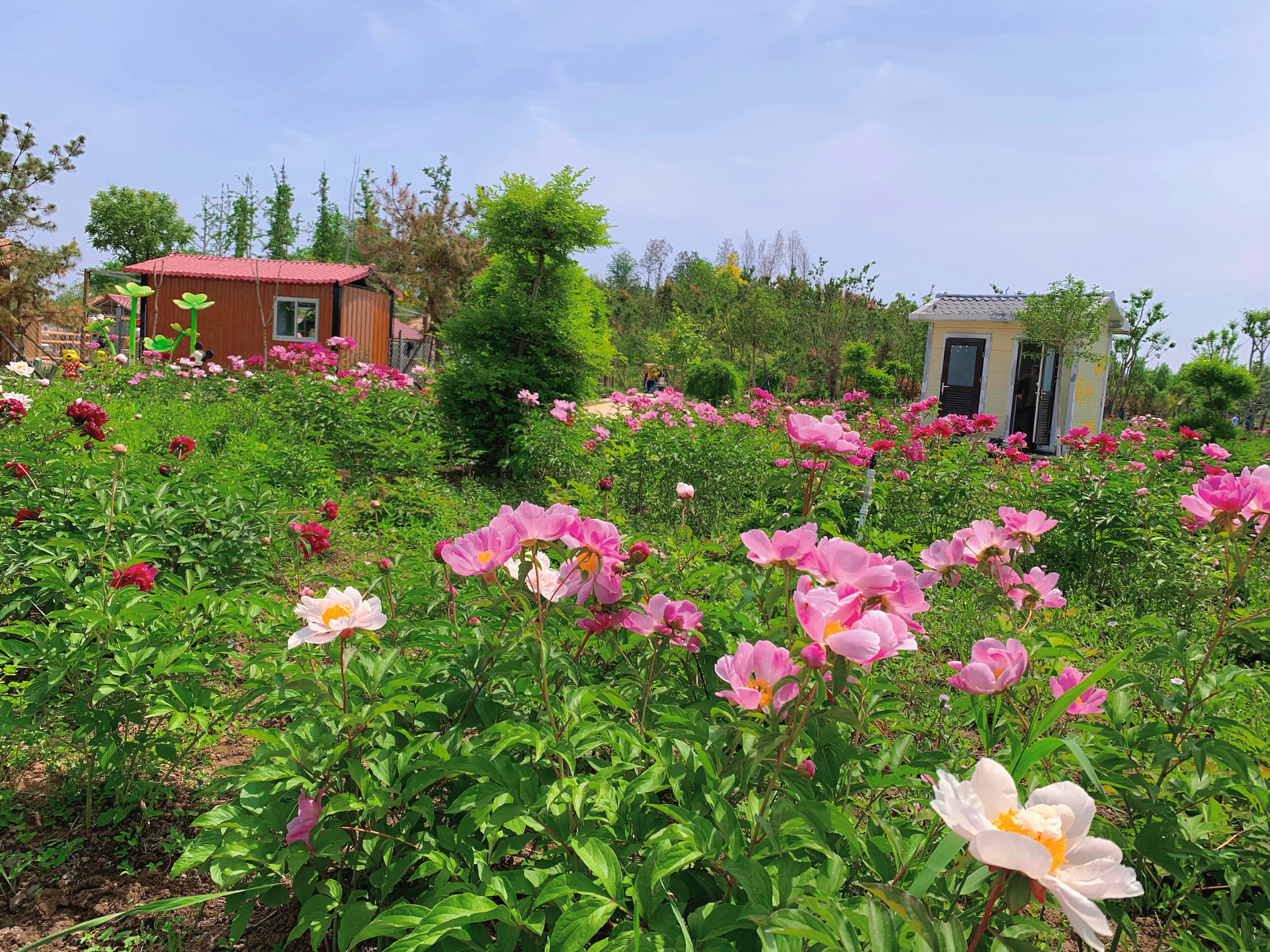 济宁周边游推荐——鹿鸣岛 假期很多人在想,去哪里玩呢?