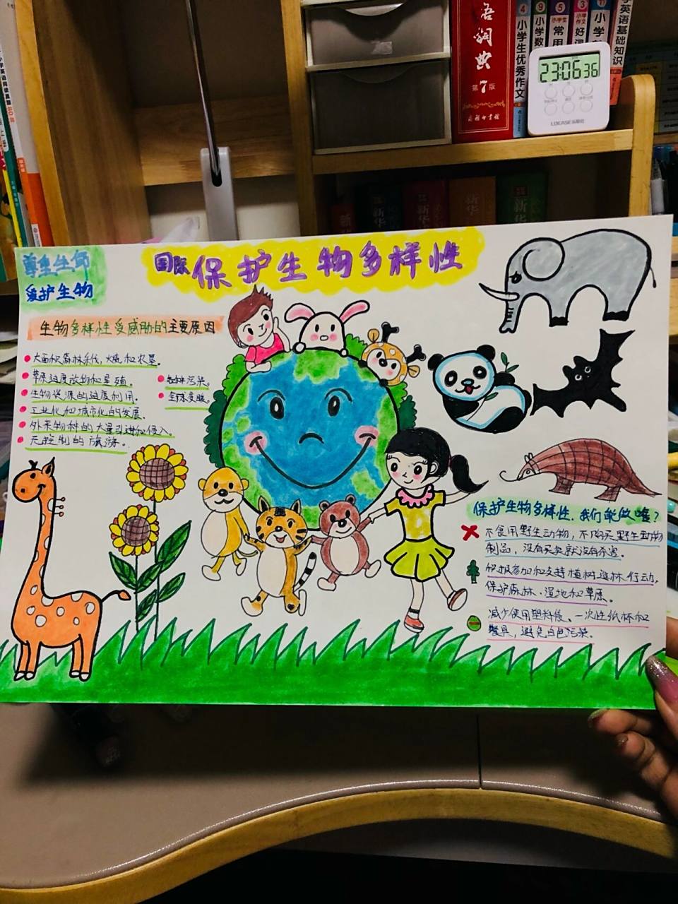 保护生物多样性手抄报 小报 参考了的图片改进后画的