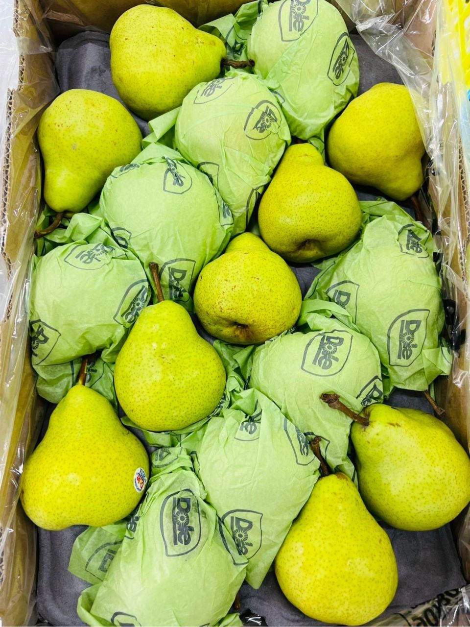 都乐"大头梨" 巨巨巨巨,句好吃的梨!