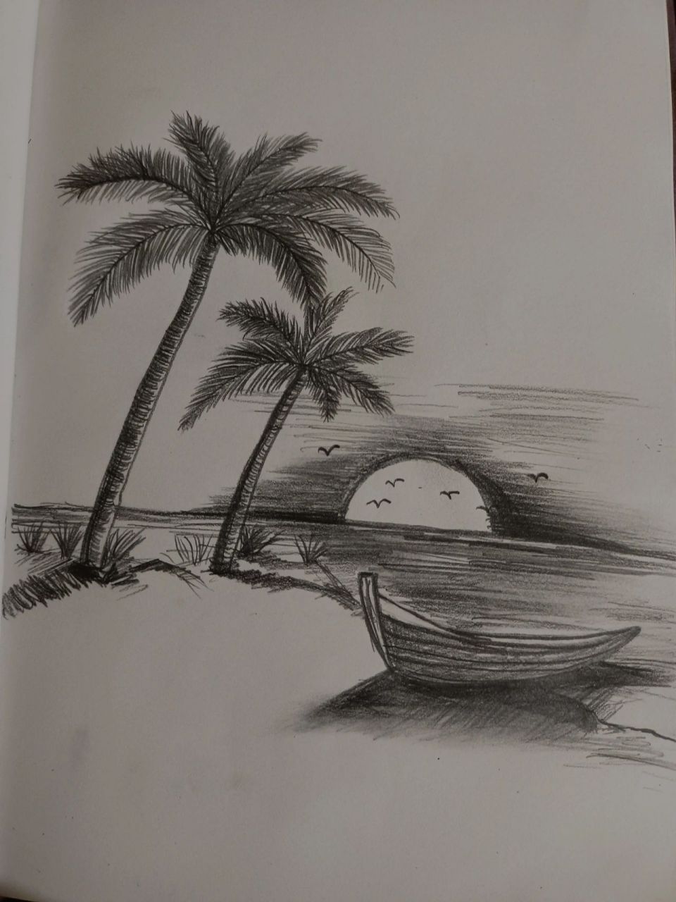 椰子树素描画图片