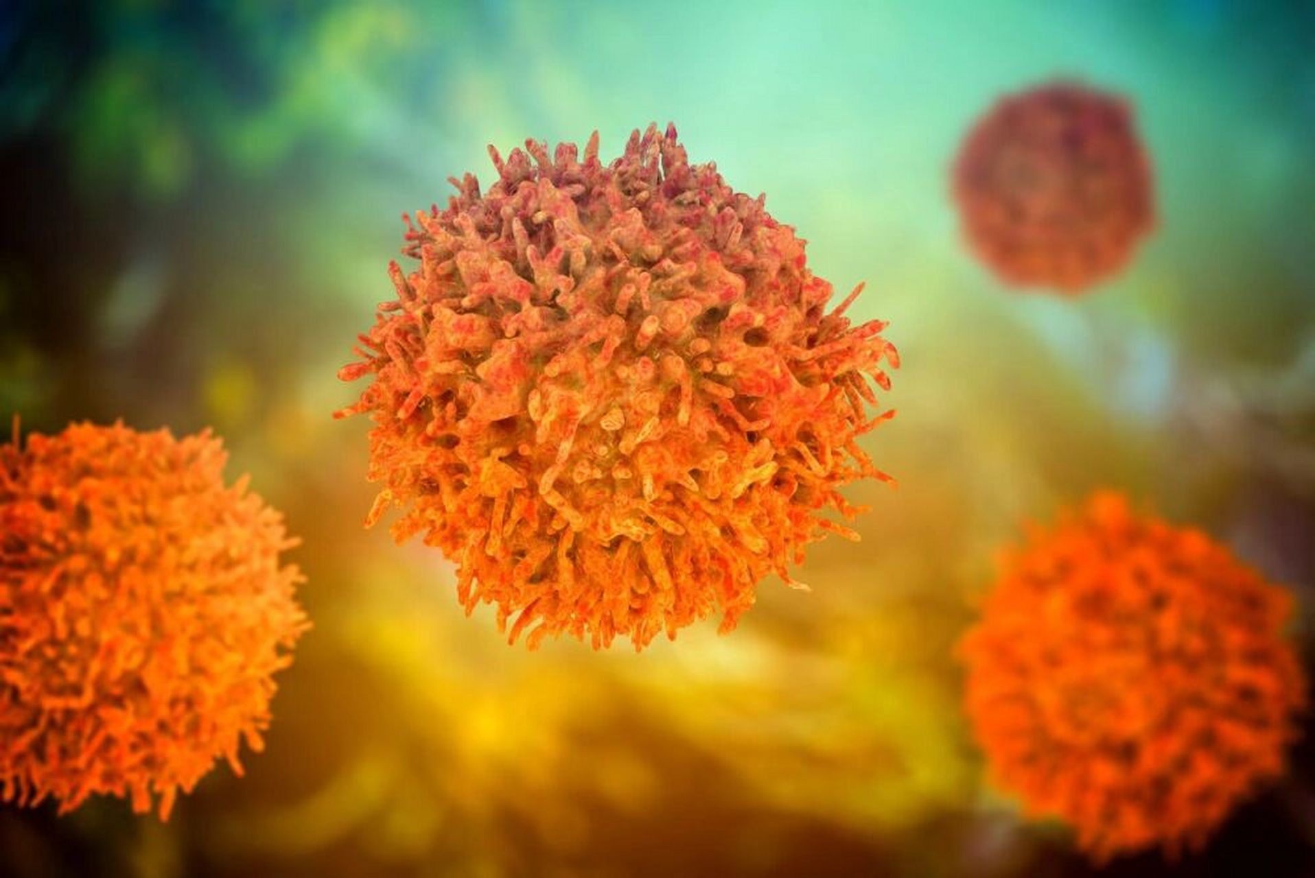 粪便钙卫蛋白 钙卫蛋白是一个丰富的钙结合蛋白,属于s100家族,主要