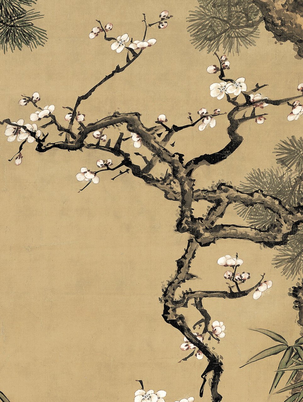 【名画赏析】沈铨 松梅双鹤图 【作品名称】:松梅双鹤图 【朝 代】