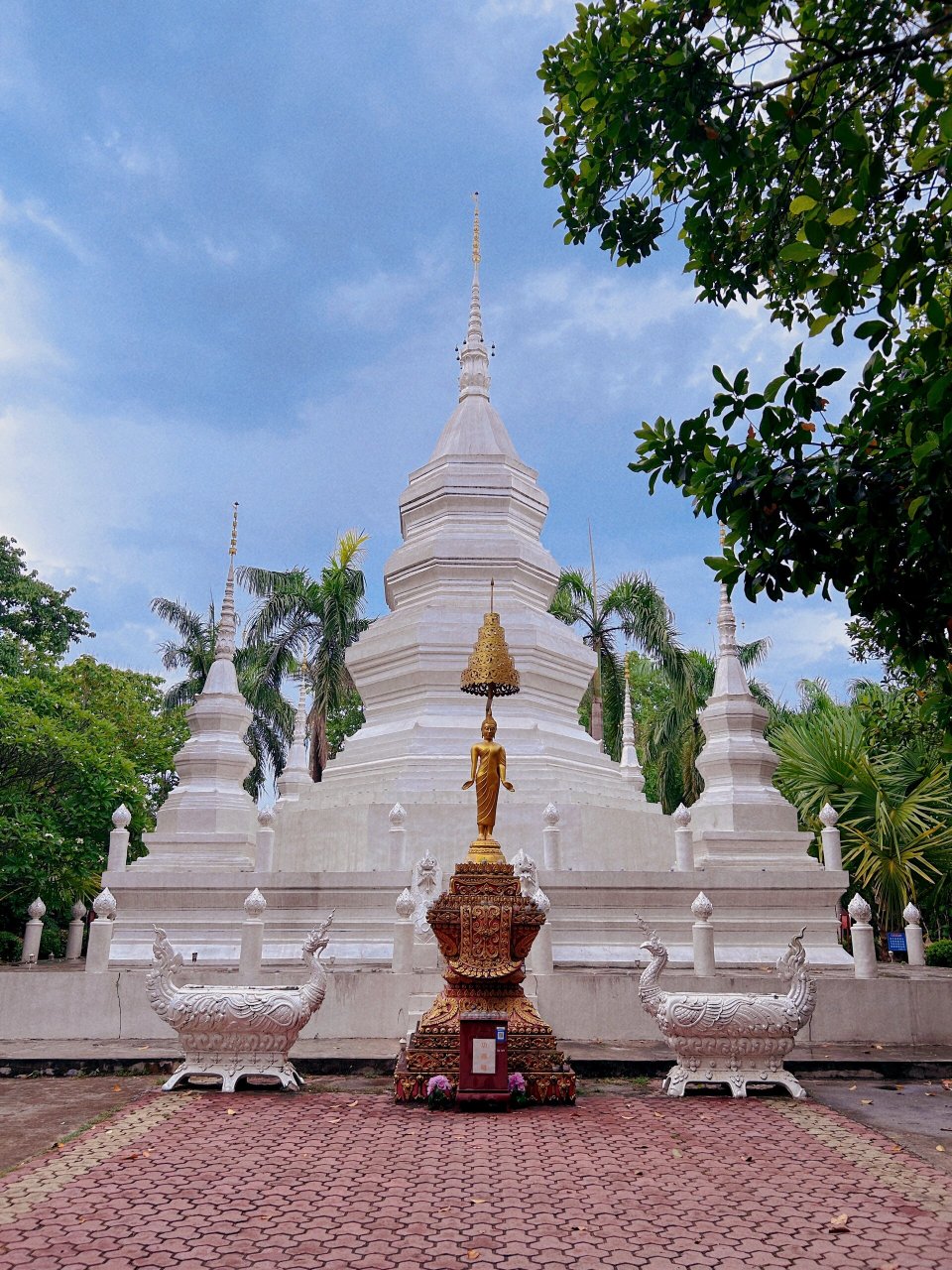 傣族园白塔 傣族园 奔着白塔去的 园里有最古老的傣式吊脚楼 一幢幢