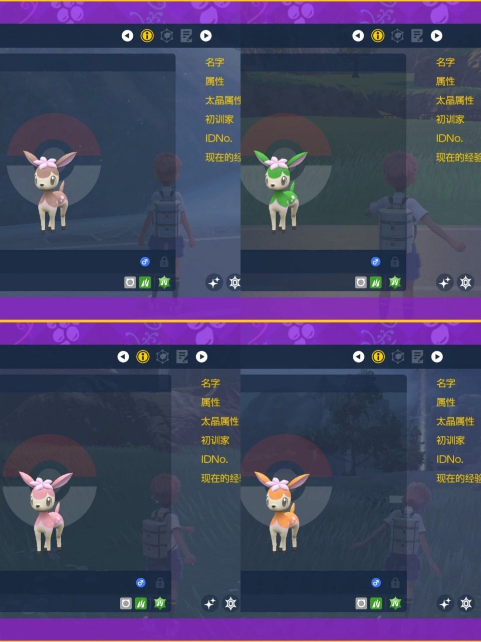 宝可梦紫|拥有了一只闪光四季鹿相当于四只 拥有了一只闪光四季鹿后