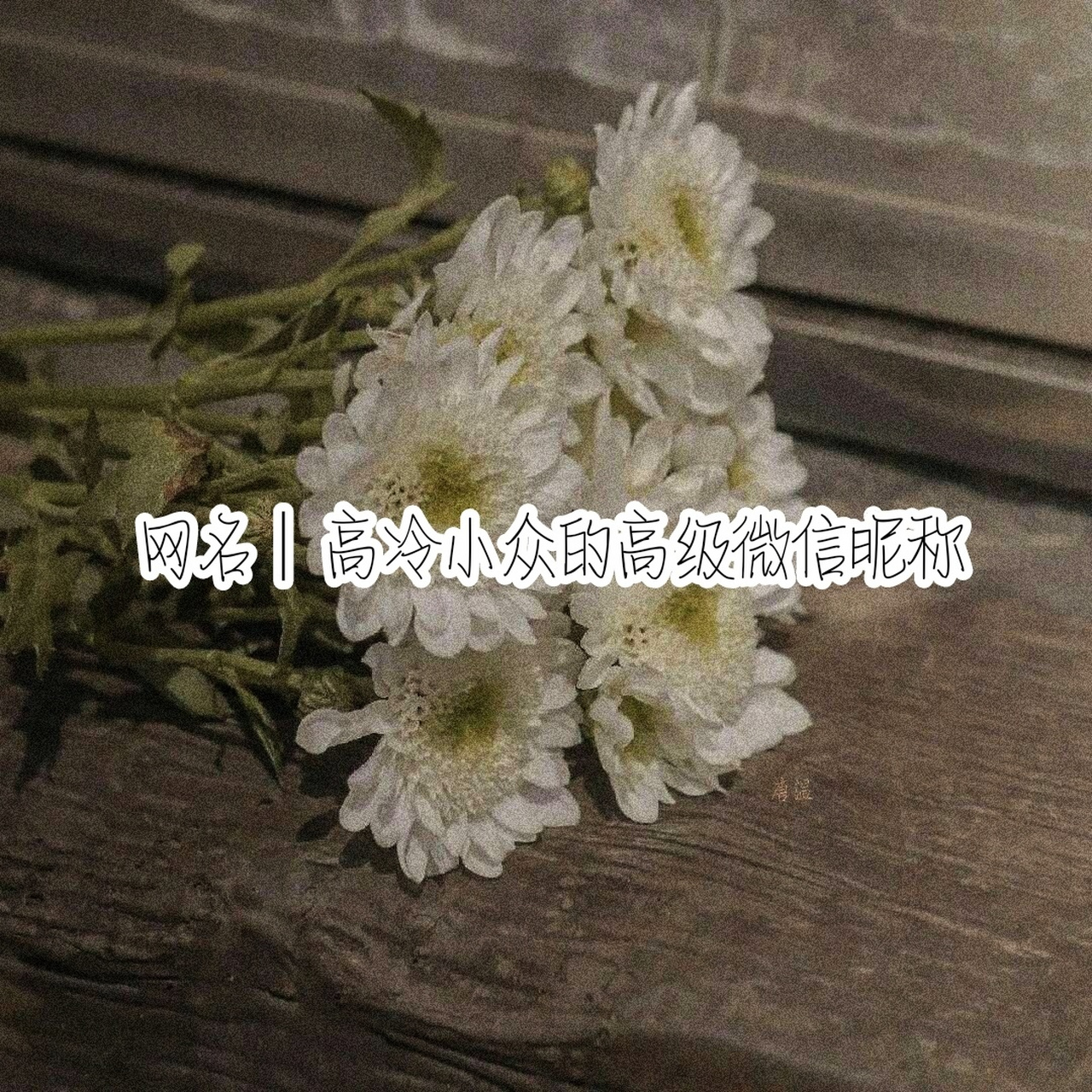 网名|高冷小众的高级微信昵称 江屿 把心动扼杀 余季辞 聆风吟 青祁