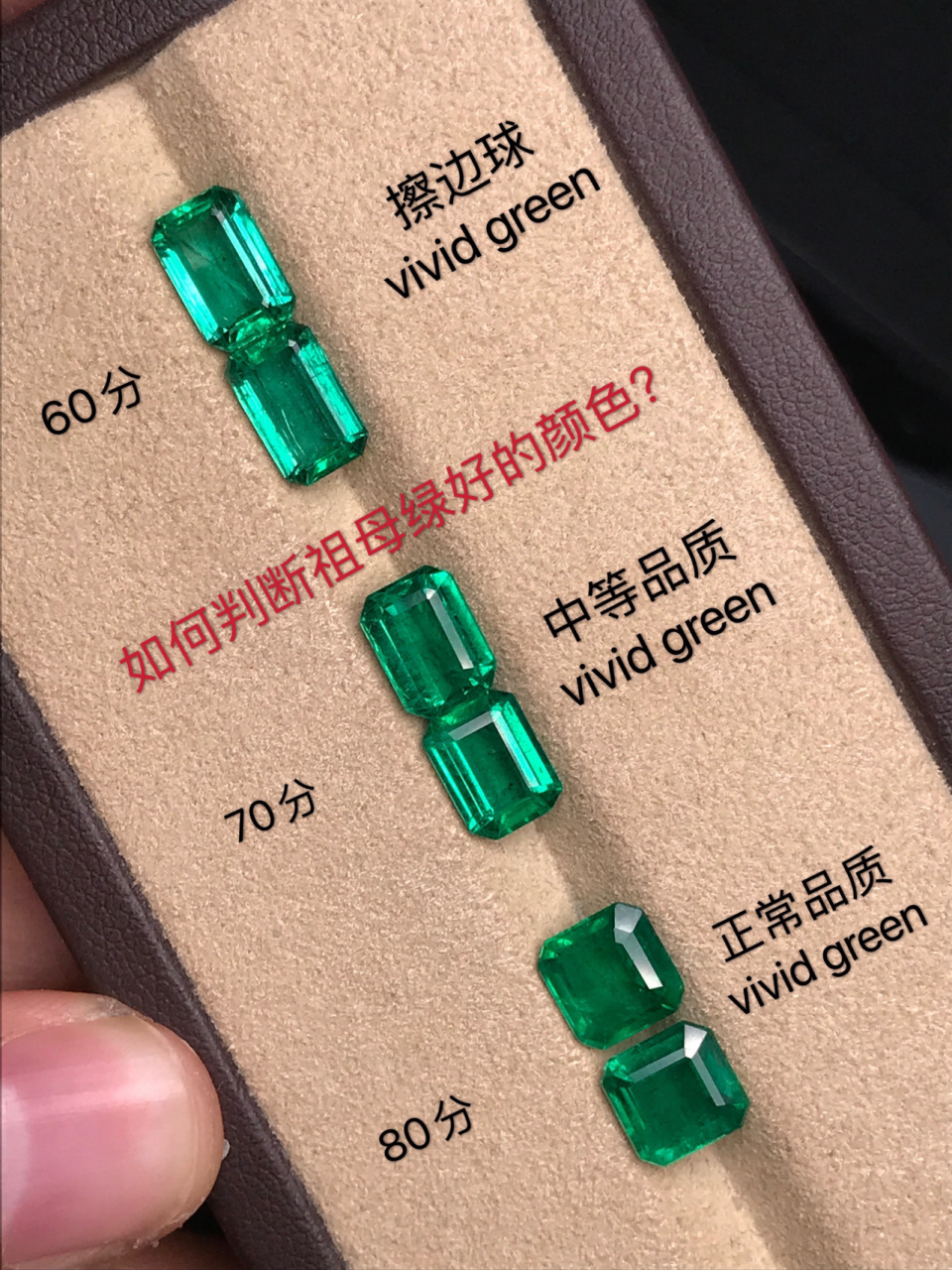 如何理解祖母绿的颜色范围之vivid green ?