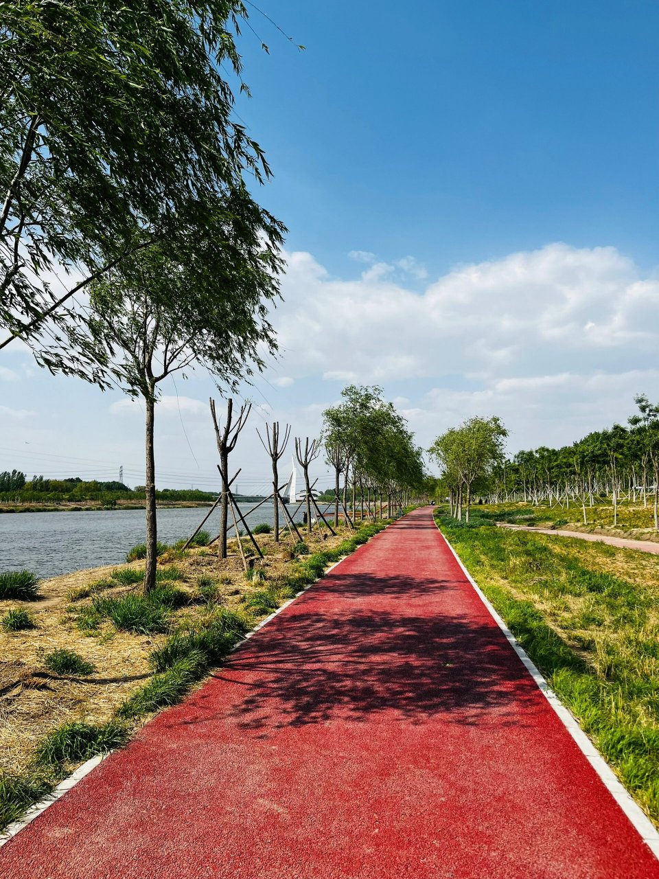 的往返路段,下面画几个重点: 99路线起点和终点:温榆河绿道全程很长